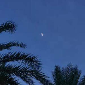 免费在线观看AV网站
