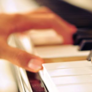 免费在线观看AV网站
