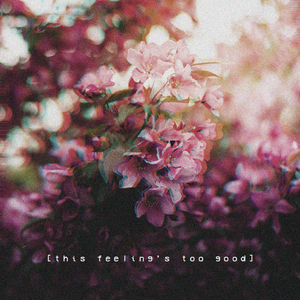 免费在线观看AV网站
