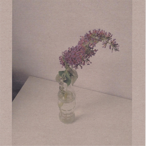 免费在线观看AV网站
