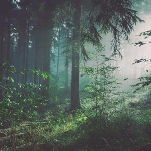 免费在线观看AV网站
